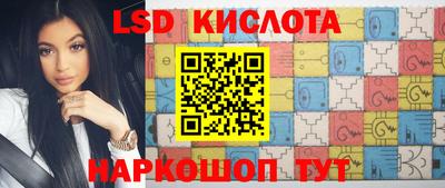 прущие грибы Лесосибирск