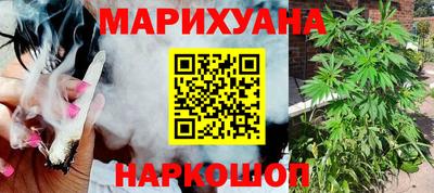 прущие грибы Лесосибирск