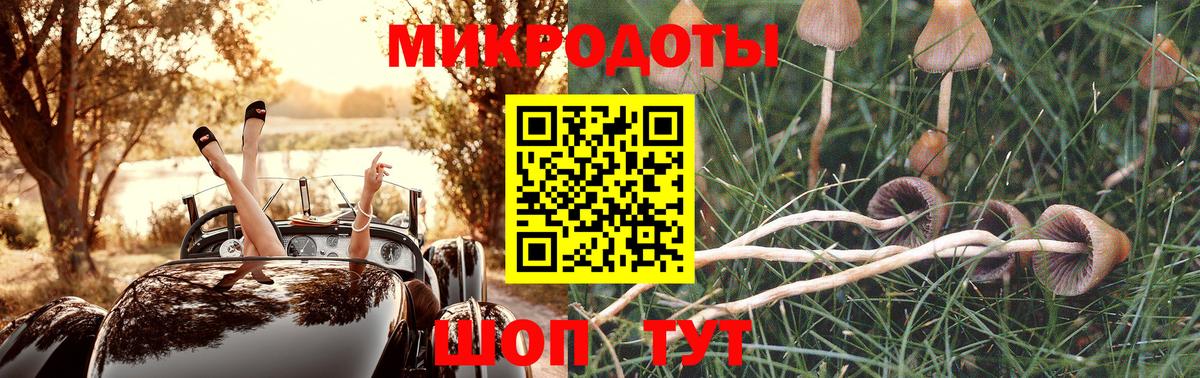 Горно-Алтайск  где найти   Вход с VPN  Псилоцибиновые грибы GOLDEN TEACHER 